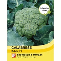 Broccoli 'Belstar Calabrese' F1